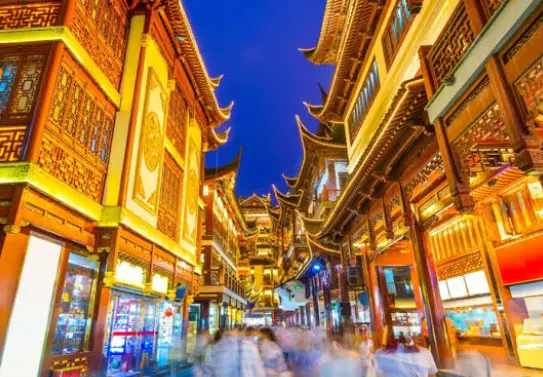 魔都悦己沙龙插花茶道怎么报名？我劝你先看完这篇再动手__2